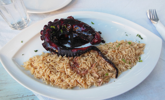 Greek Octopus