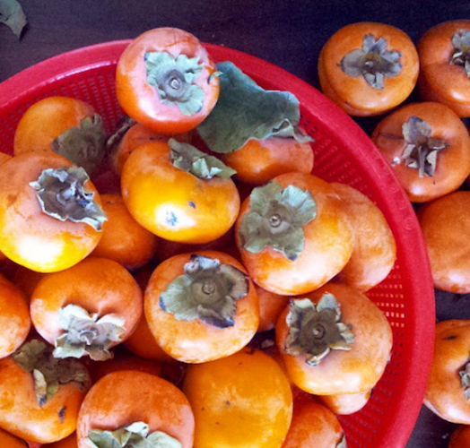 Persimmons