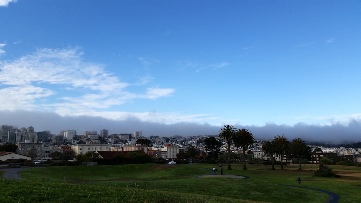 Crissy Field