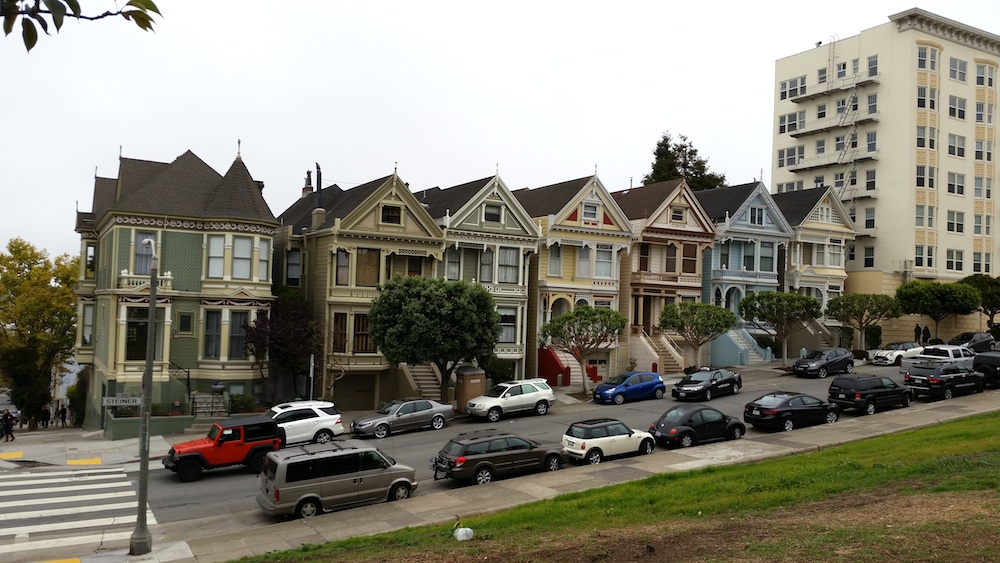 Painted Ladies