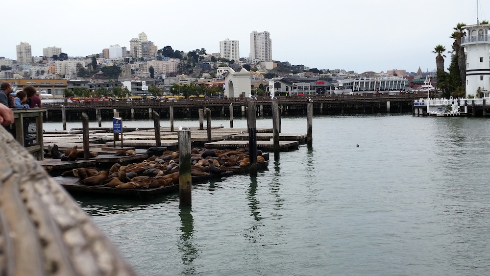 San Francisco Pier 39