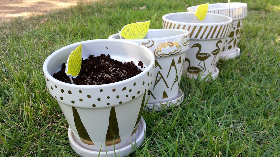 DIY Herb Garden Party