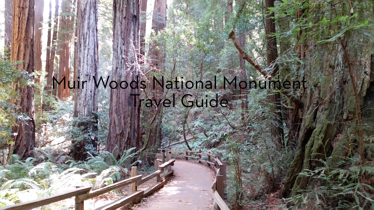 muir-woods-national-monument-travel-guide-fearless-captivations