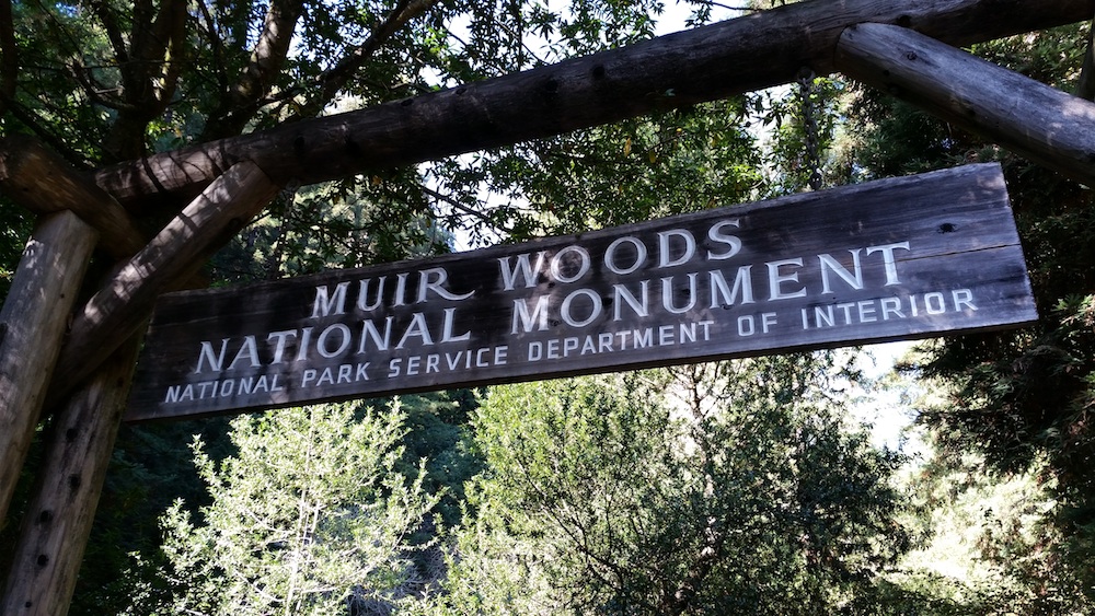 Muir Woods Sign