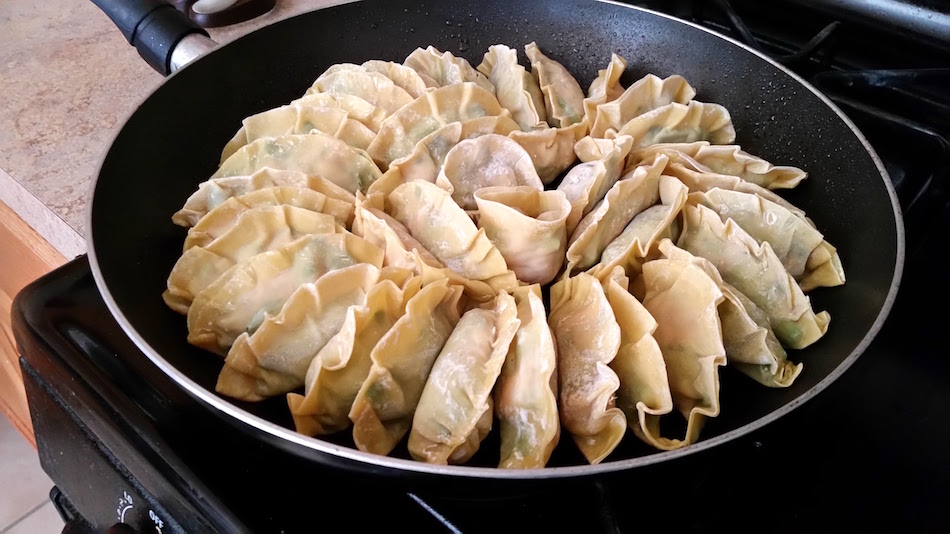 Dumplings Fearless Captivations