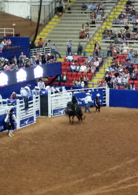 Austin Rodeo Bullrider