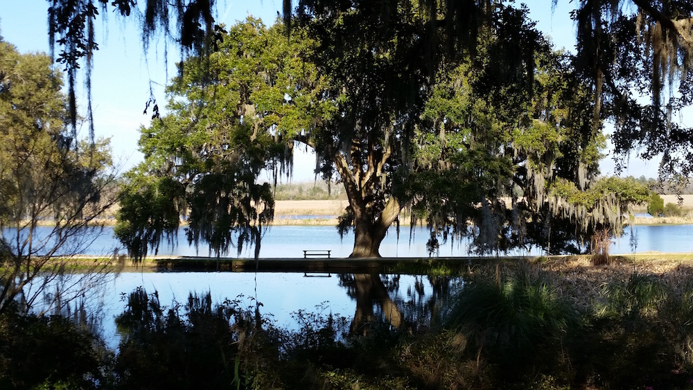 Middleton Place Plantation