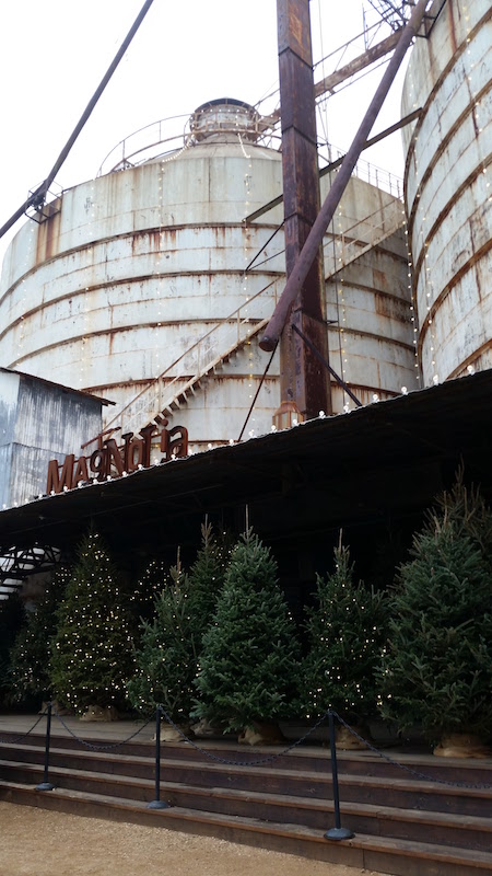 magnolia-market-waco-tx-trees