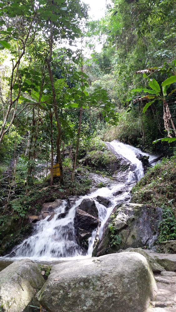 Thailand Rainforest