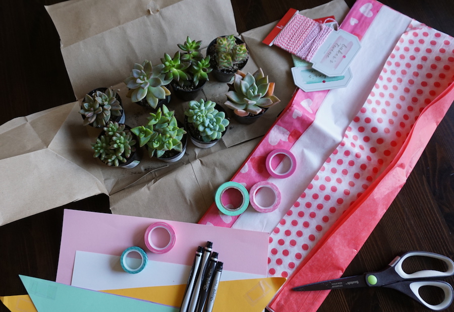 DIY Succulent Valentine Valentine's Day Party Fearless Captivations