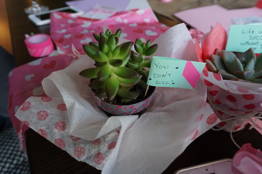 Succulent DIY Valentine's Day Party Fearless Captivations