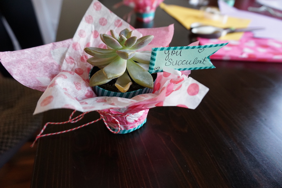 Succulent Valentine's Day Party Fearless Captivations