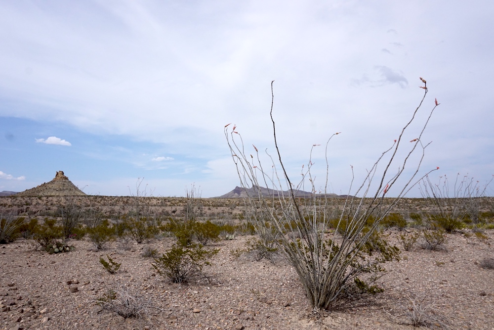 Big Bend National Park