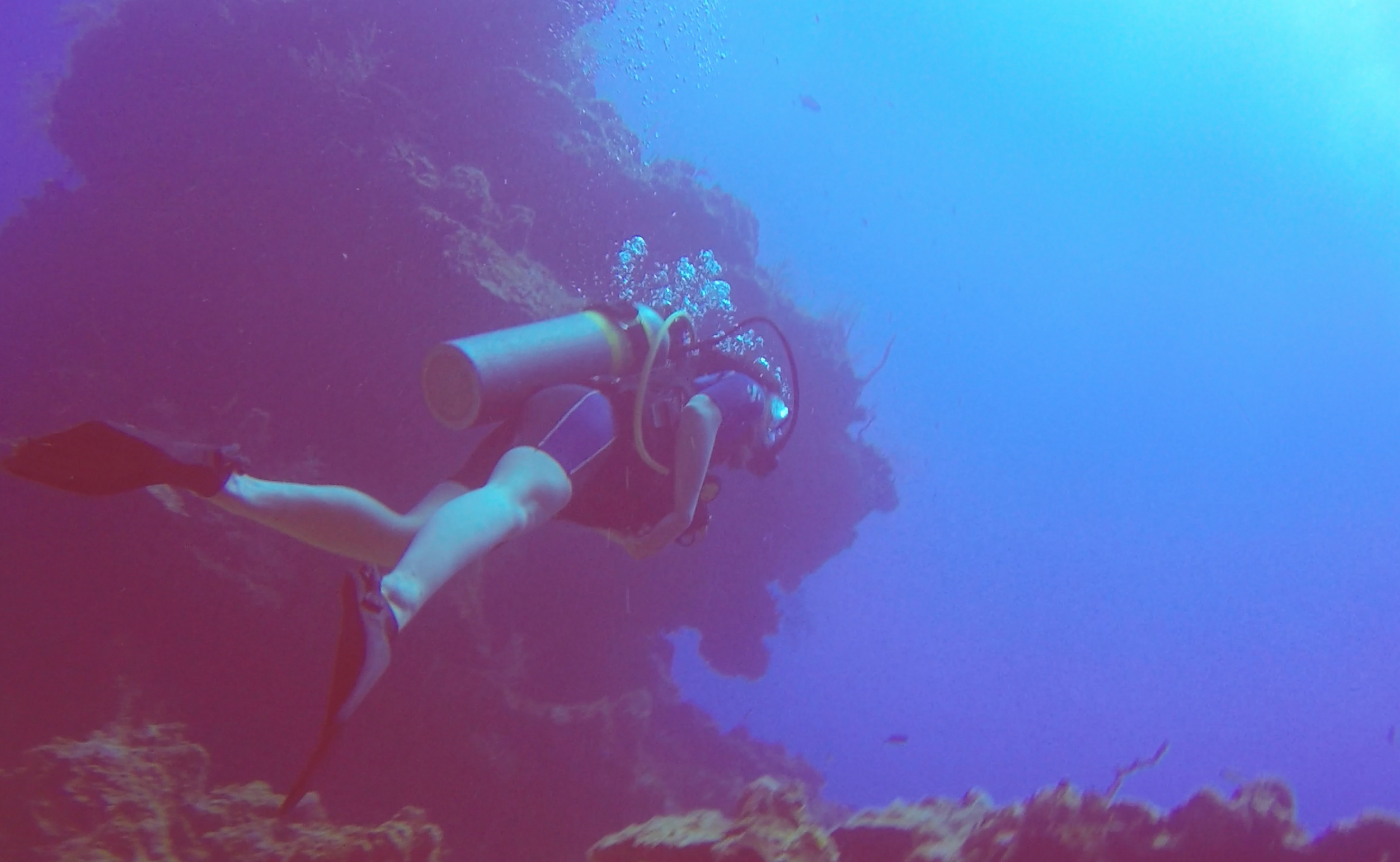 Cayman Islands Scuba Diving